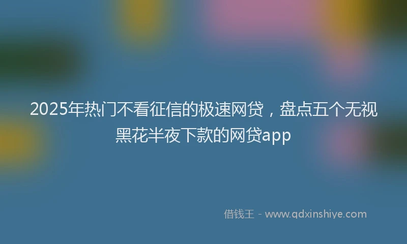 2025年热门不看征信的极速网贷，盘点五个无视黑花半夜下款的网贷app
