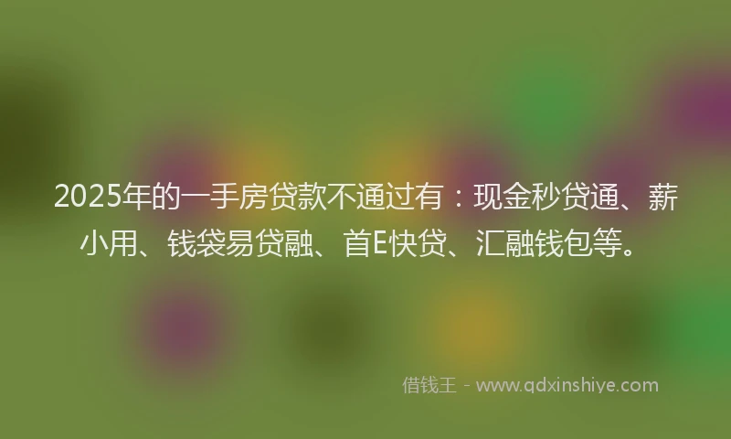 2025年的一手房贷款不通过有：现金秒贷通、薪小用、钱袋易贷融、首E快贷、汇融钱包等。