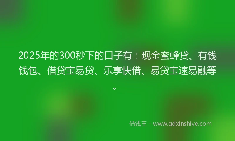 2025年的300秒下的口子有：现金蜜蜂贷、有钱钱包、借贷宝易贷、乐享快借、易贷宝速易融等。