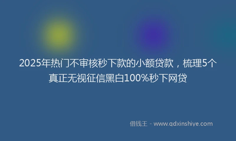 2025年热门不审核秒下款的小额贷款，梳理5个真正无视征信黑白100%秒下网贷