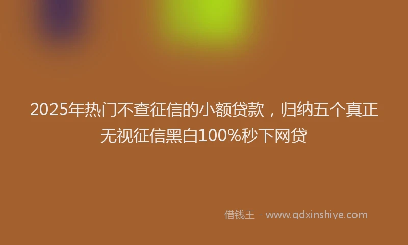 2025年热门不查征信的小额贷款，归纳五个真正无视征信黑白100%秒下网贷