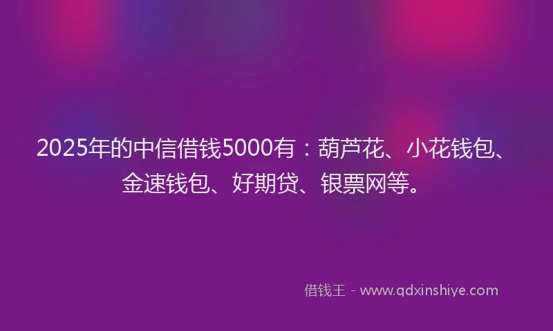 2025年的中信借钱5000有：葫芦花、小花钱包、金速钱包、好期贷、银票网等。