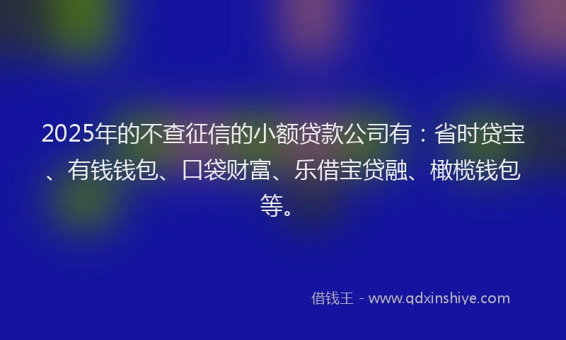 2025年的不查征信的小额贷款公司有：省时贷宝、有钱钱包、口袋财富、乐借宝贷融、橄榄钱包等。