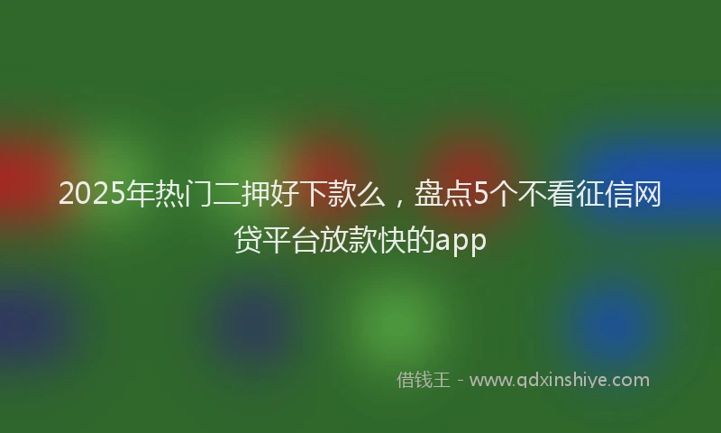2025年热门二押好下款么，盘点5个不看征信网贷平台放款快的app