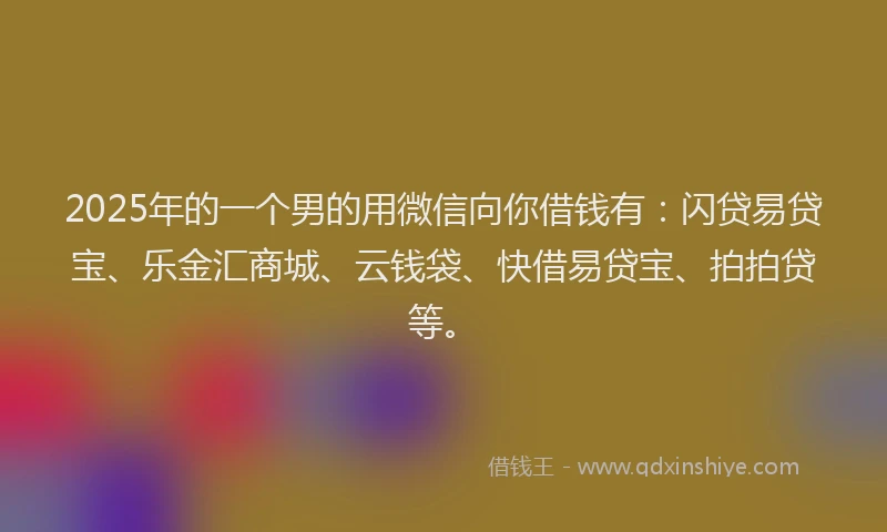 2025年的一个男的用微信向你借钱有：闪贷易贷宝、乐金汇商城、云钱袋、快借易贷宝、拍拍贷等。