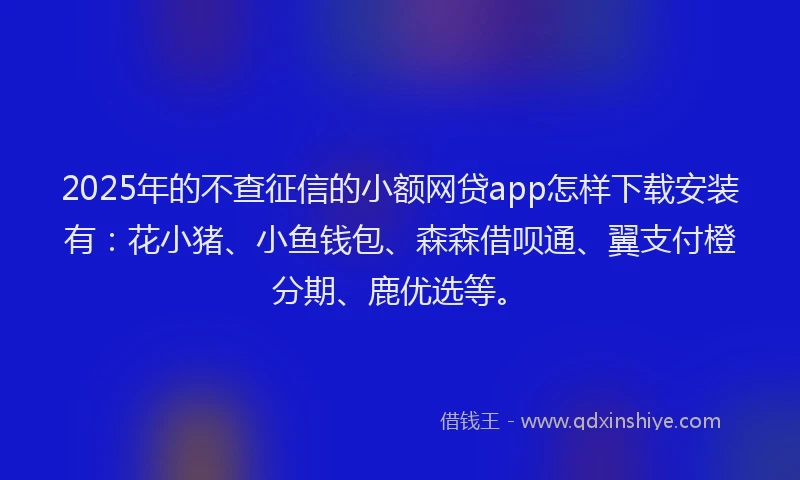 2025年的不查征信的小额网贷app怎样下载安装有：花小猪、小鱼钱包、森森借呗通、翼支付橙分期、鹿优选等。