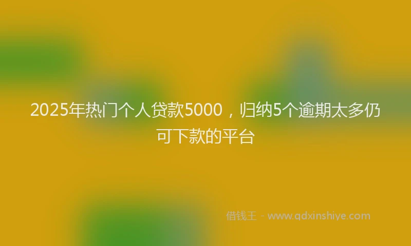 2025年热门个人贷款5000，归纳5个逾期太多仍可下款的平台