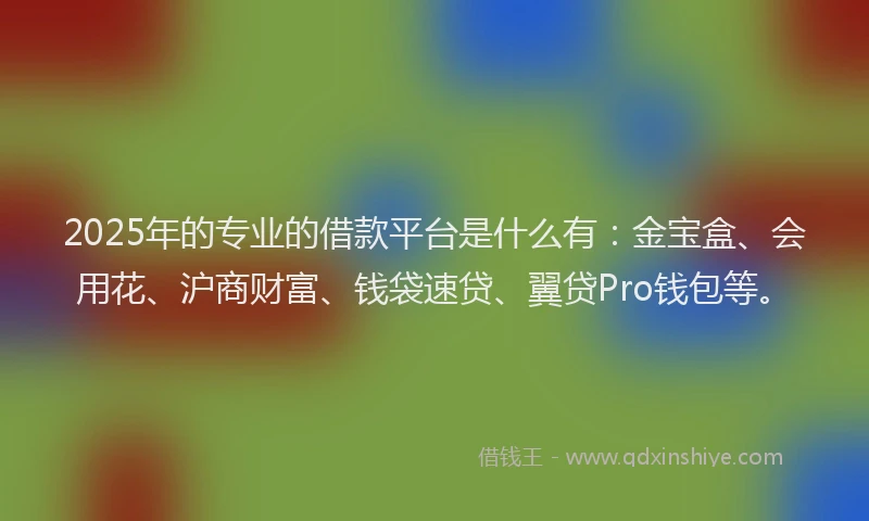 2025年的专业的借款平台是什么有：金宝盒、会用花、沪商财富、钱袋速贷、翼贷Pro钱包等。