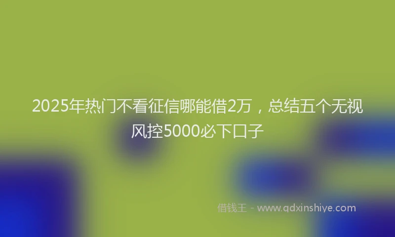 2025年热门不看征信哪能借2万，总结五个无视风控5000必下口子