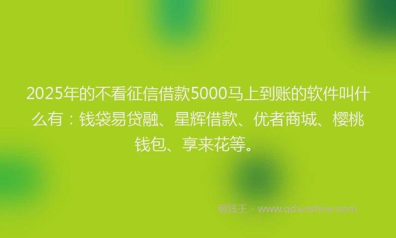 2025年的不看征信借款5000马上到账的软件叫什么有：钱袋易贷融、星辉借款、优者商城、樱桃钱包、享来花等。