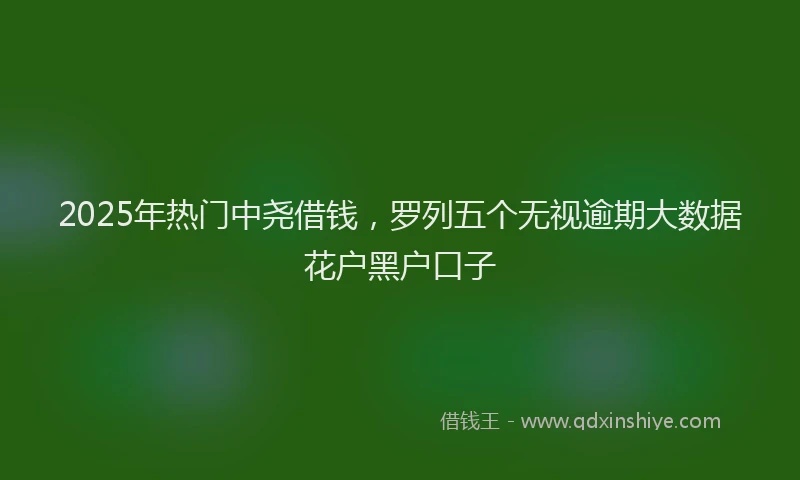2025年热门中尧借钱，罗列五个无视逾期大数据花户黑户口子
