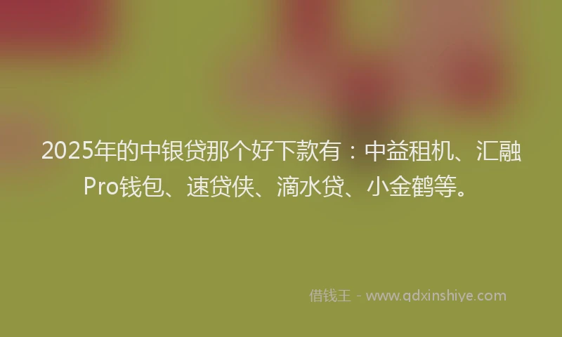 2025年的中银贷那个好下款有：中益租机、汇融Pro钱包、速贷侠、滴水贷、小金鹤等。