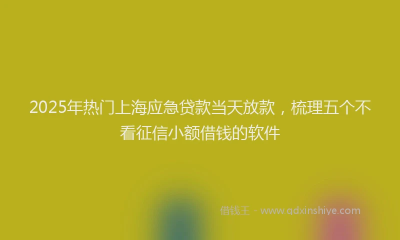 2025年热门上海应急贷款当天放款，梳理五个不看征信小额借钱的软件