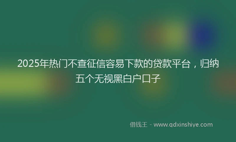 2025年热门不查征信容易下款的贷款平台，归纳五个无视黑白户口子