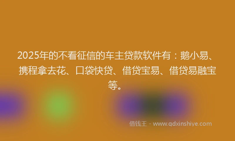 2025年的不看征信的车主贷款软件有：鹅小易、携程拿去花、口袋快贷、借贷宝易、借贷易融宝等。