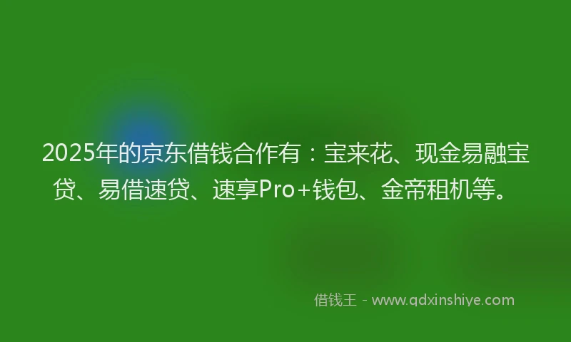 2025年的京东借钱合作有：宝来花、现金易融宝贷、易借速贷、速享Pro+钱包、金帝租机等。