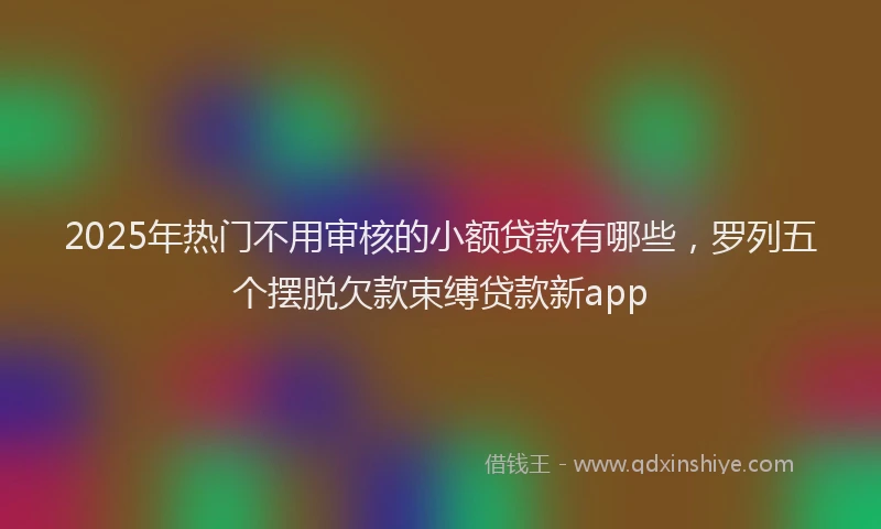 2025年热门不用审核的小额贷款有哪些，罗列五个摆脱欠款束缚贷款新app
