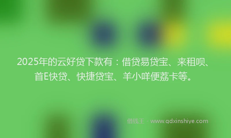 2025年的云好贷下款有：借贷易贷宝、来租呗、首E快贷、快捷贷宝、羊小咩便荔卡等。