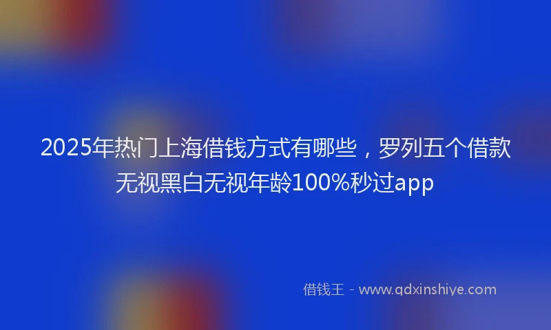 2025年热门上海借钱方式有哪些，罗列五个借款无视黑白无视年龄100%秒过app