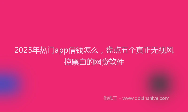 2025年热门app借钱怎么，盘点五个真正无视风控黑白的网贷软件
