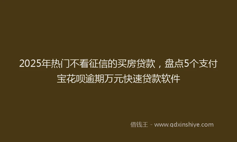 2025年热门不看征信的买房贷款，盘点5个支付宝花呗逾期万元快速贷款软件