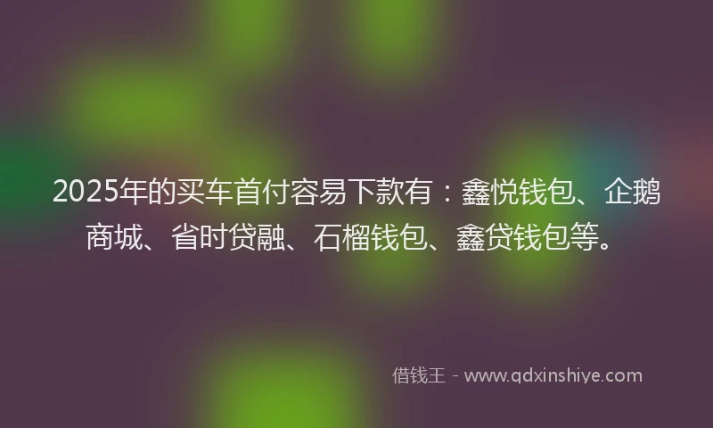 2025年的买车首付容易下款有：鑫悦钱包、企鹅商城、省时贷融、石榴钱包、鑫贷钱包等。