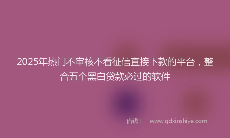 2025年热门不审核不看征信直接下款的平台，整合五个黑白贷款必过的软件