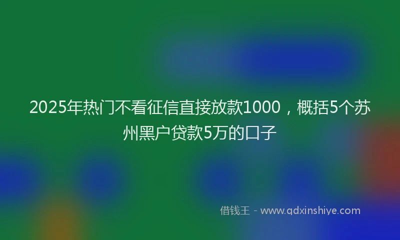 2025年热门不看征信直接放款1000，概括5个苏州黑户贷款5万的口子