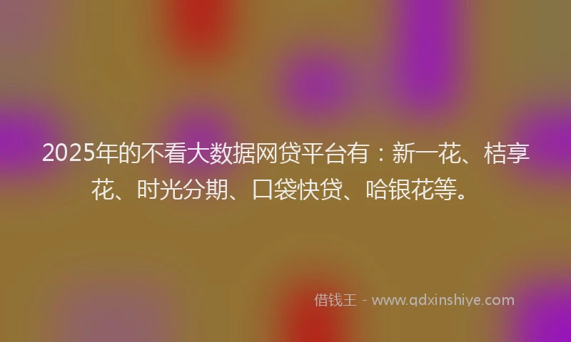 2025年的不看大数据网贷平台有：新一花、桔享花、时光分期、口袋快贷、哈银花等。