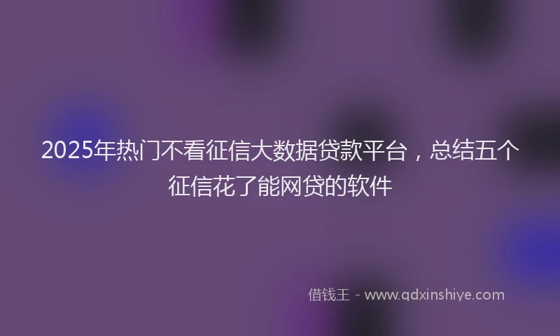 2025年热门不看征信大数据贷款平台，总结五个征信花了能网贷的软件