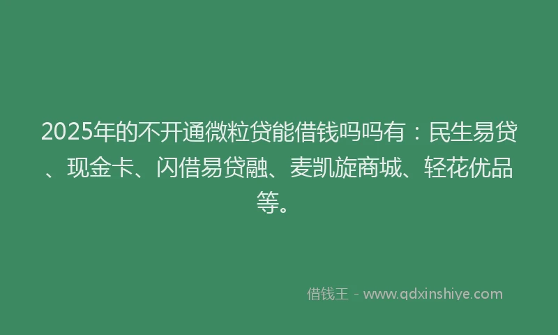 2025年的不开通微粒贷能借钱吗吗有：民生易贷、现金卡、闪借易贷融、麦凯旋商城、轻花优品等。