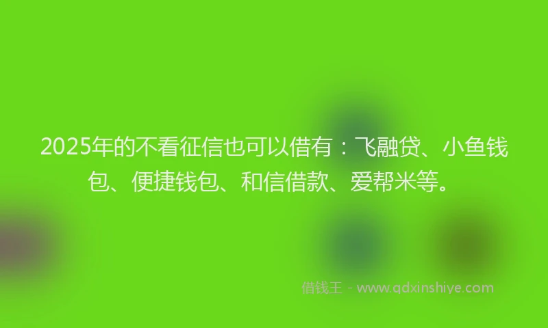 2025年的不看征信也可以借有：飞融贷、小鱼钱包、便捷钱包、和信借款、爱帮米等。