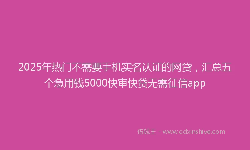 2025年热门不需要手机实名认证的网贷，汇总五个急用钱5000快审快贷无需征信app