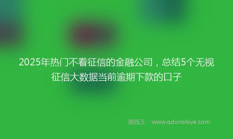 2025年热门不看征信的金融公司，总结5个无视征信大数据当前逾期下款的口子