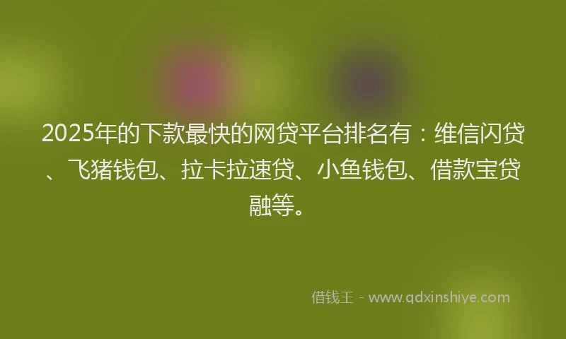 2025年的下款最快的网贷平台排名有：维信闪贷、飞猪钱包、拉卡拉速贷、小鱼钱包、借款宝贷融等。