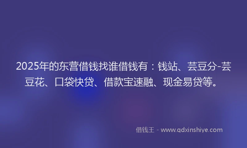 2025年的东营借钱找谁借钱有：钱站、芸豆分-芸豆花、口袋快贷、借款宝速融、现金易贷等。