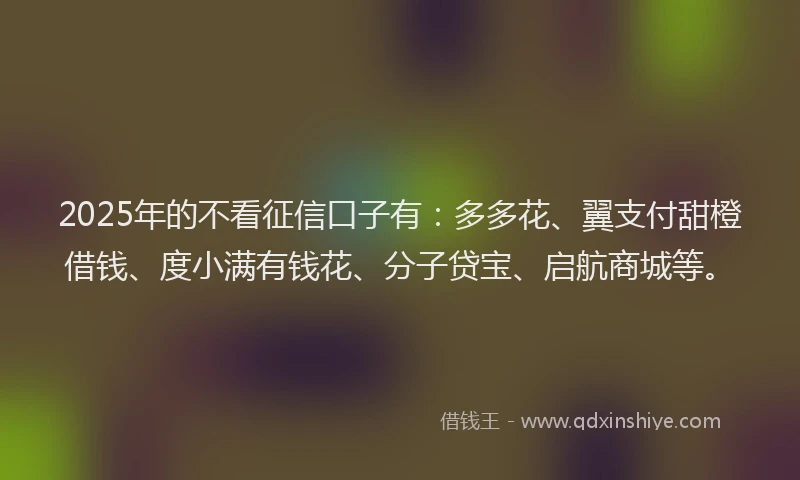 2025年的不看征信口子有：多多花、翼支付甜橙借钱、度小满有钱花、分子贷宝、启航商城等。