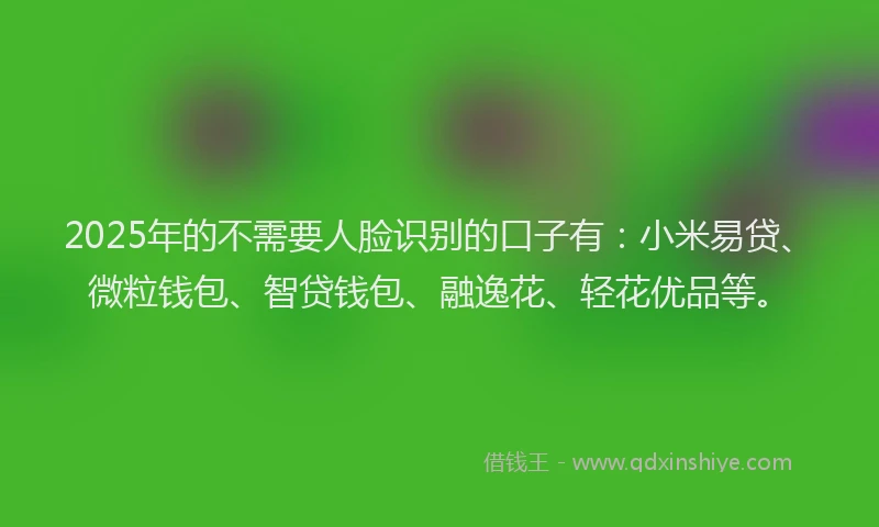 2025年的不需要人脸识别的口子有：小米易贷、微粒钱包、智贷钱包、融逸花、轻花优品等。