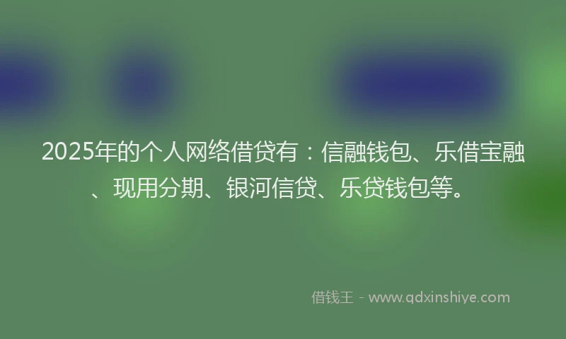 2025年的个人网络借贷有：信融钱包、乐借宝融、现用分期、银河信贷、乐贷钱包等。