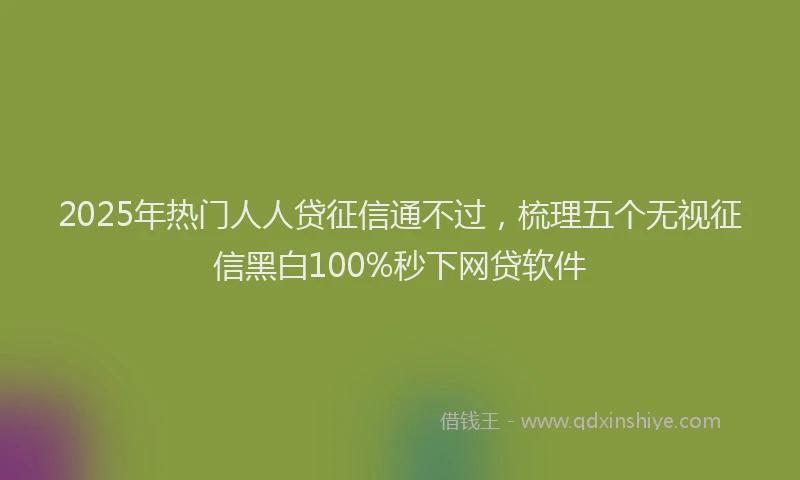 2025年热门人人贷征信通不过，梳理五个无视征信黑白100%秒下网贷软件