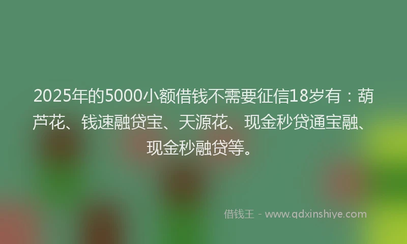 2025年的5000小额借钱不需要征信18岁有：葫芦花、钱速融贷宝、天源花、现金秒贷通宝融、现金秒融贷等。