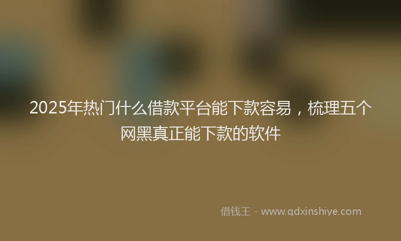 2025年热门什么借款平台能下款容易，梳理五个网黑真正能下款的软件