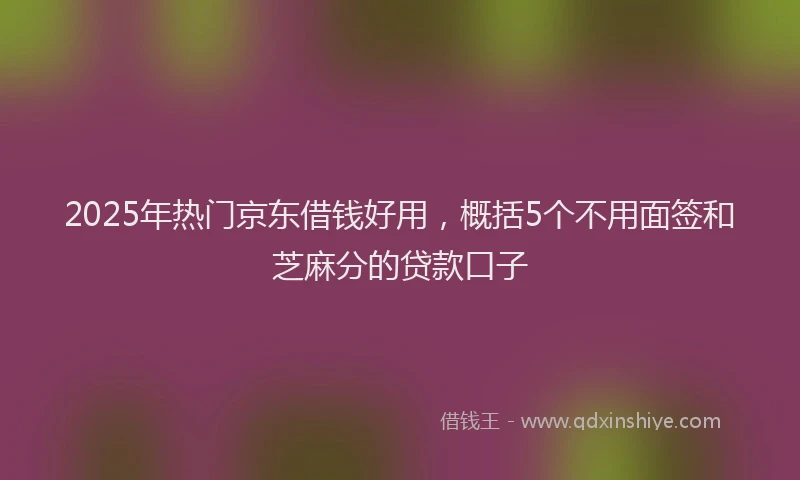 2025年热门京东借钱好用，概括5个不用面签和芝麻分的贷款口子