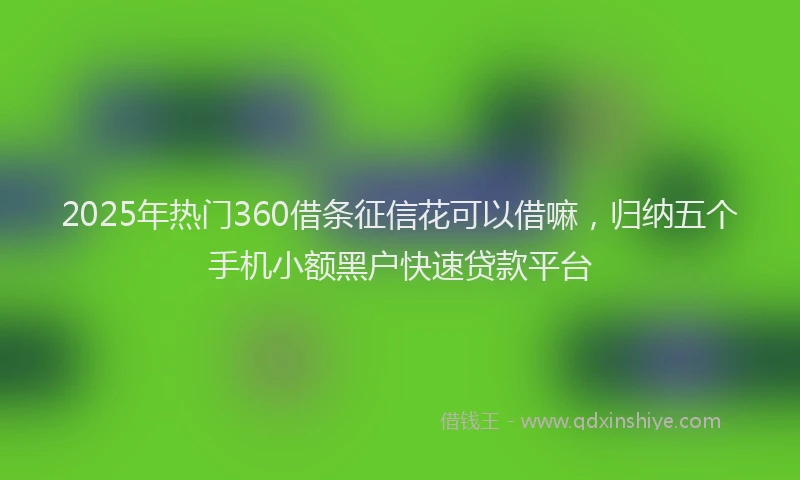 2025年热门360借条征信花可以借嘛，归纳五个手机小额黑户快速贷款平台