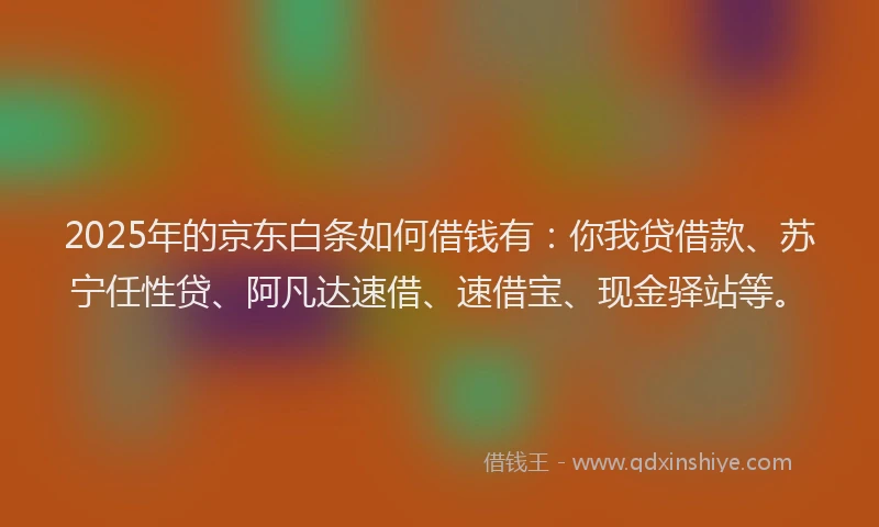2025年的京东白条如何借钱有：你我贷借款、苏宁任性贷、阿凡达速借、速借宝、现金驿站等。