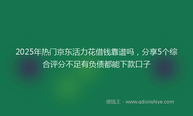 2025年热门京东活力花借钱靠谱吗，分享5个综合评分不足有负债都能下款口子