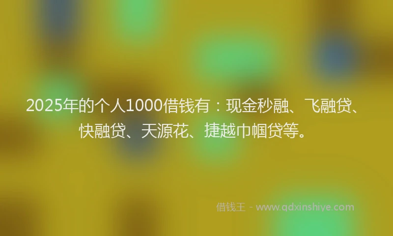 2025年的个人1000借钱有：现金秒融、飞融贷、快融贷、天源花、捷越巾帼贷等。