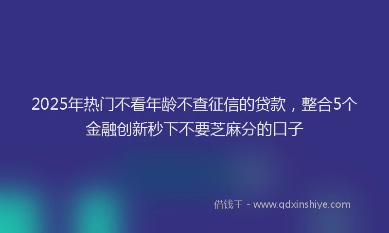 2025年热门不看年龄不查征信的贷款，整合5个金融创新秒下不要芝麻分的口子