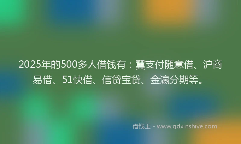 2025年的500多人借钱有：翼支付随意借、沪商易借、51快借、信贷宝贷、金瀛分期等。