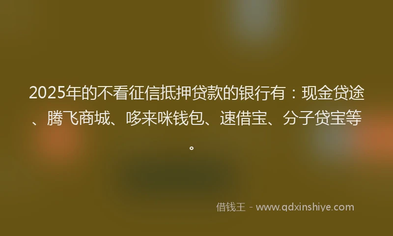 2025年的不看征信抵押贷款的银行有：现金贷途、腾飞商城、哆来咪钱包、速借宝、分子贷宝等。